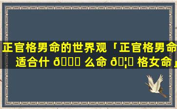 正官格男命的世界观「正官格男命适合什 🍁 么命 🦆 格女命」